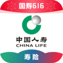 关于夏天的回忆30字